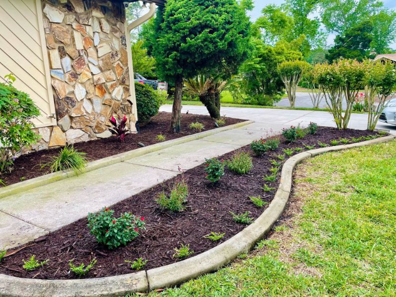 A curving walkway lined with a freshly mulched, edged planting bed.