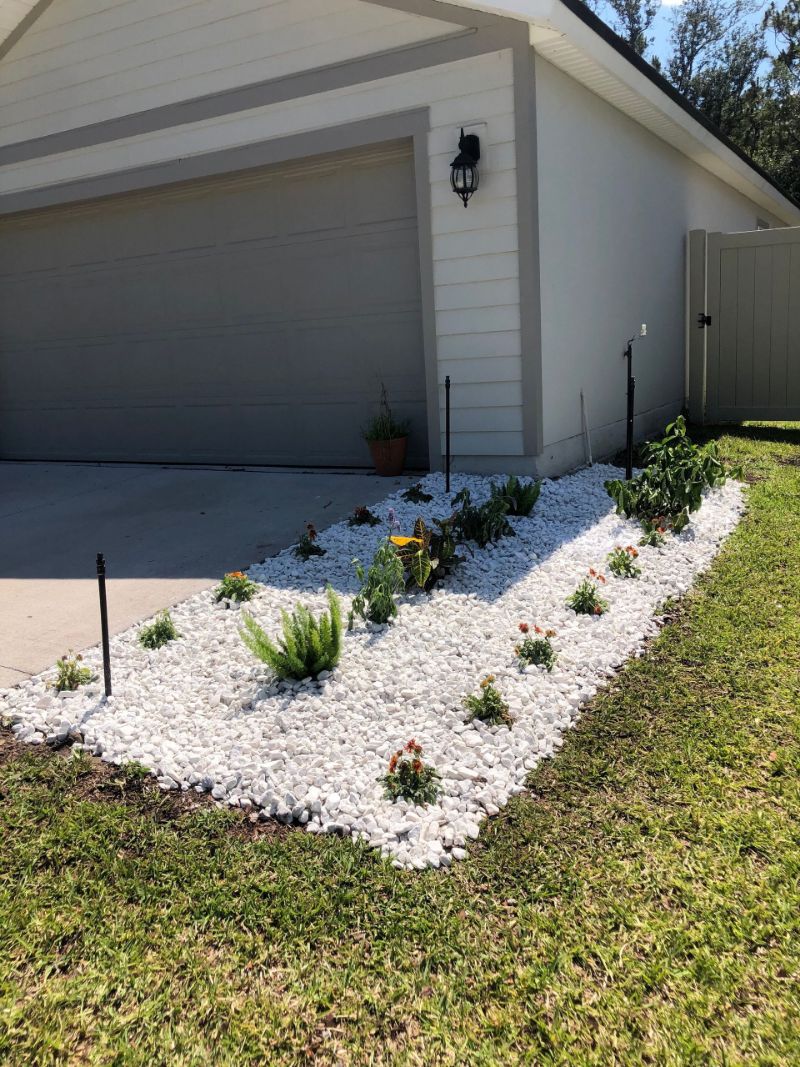 A white decorative rock bed with new plantings along the side of a house.